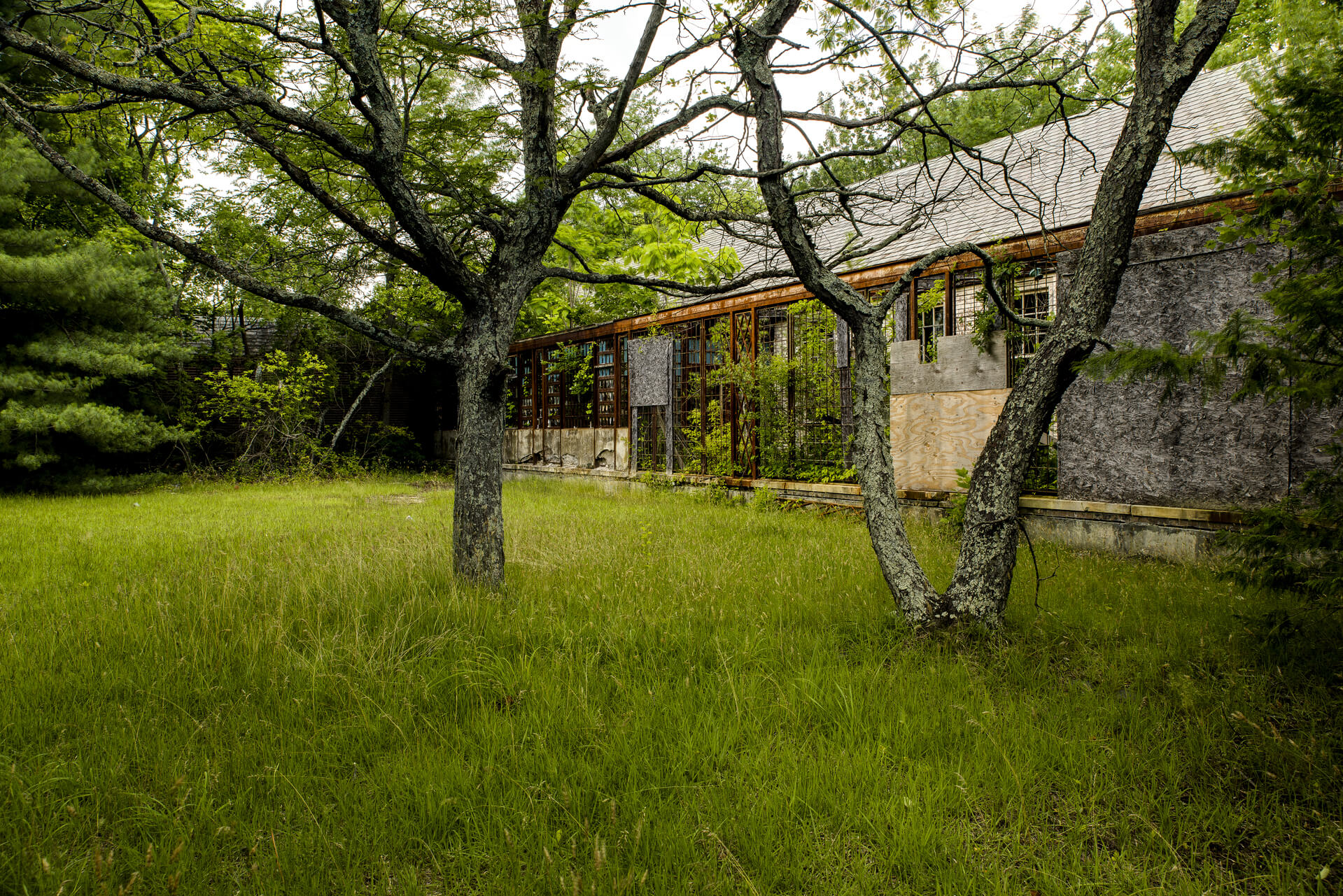 Home with a garden heated by a geothermal heat pump